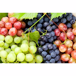 fresh grapes