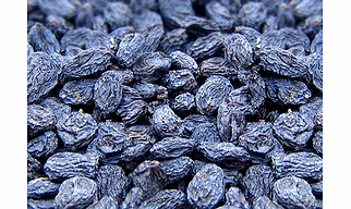 Raisin