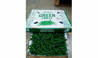 Green chilli