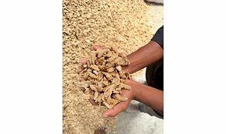 Dry ginger