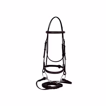 WCD Aurum Elite Raised Bridle with Laced Reins-2