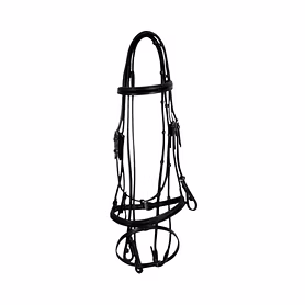 WCD Regalia Pro Fancy Raised Bridle with Laced Reins