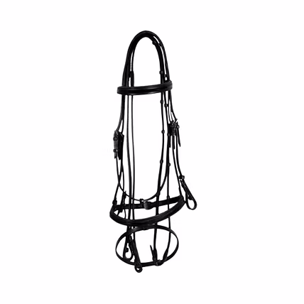 WCD Regalia Pro Fancy Raised Bridle with Laced Reins-12735893