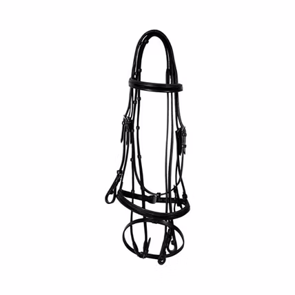 WCD Regalia Pro Fancy Raised Bridle with Laced Reins-2