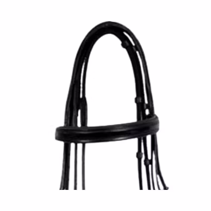 WCD Regalia Pro Fancy Raised Bridle with Laced Reins-1