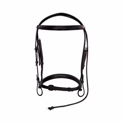WCD Calibre Pro Padded Dressage Bridle with Flash and Web Reins-1