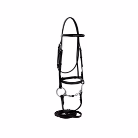 WCD Bellatrix Mono Raised Mono Crown Bridle with Web Reins