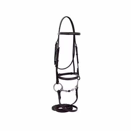 WCD Bellatrix Mono Raised Mono Crown Bridle with Web Reins-1