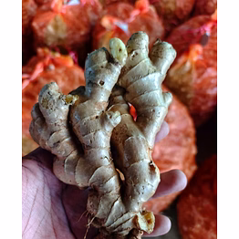 ginger