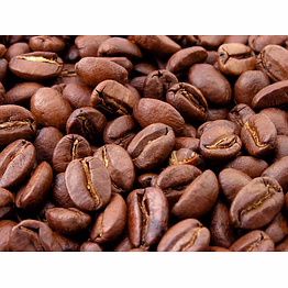 arabica coffee beans