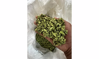 greem cardamom 7-8mm