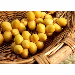 yellow dried dates
