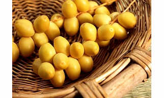 yellow dried dates