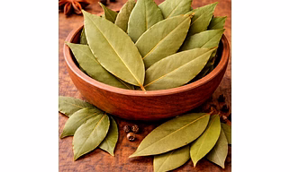 Bay Leaf (Tej Patta)