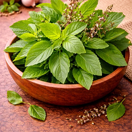 basil leaves (tulsi/sweet basil)