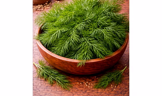 Dill Seeds/Leaves (Suva)