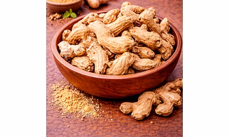 Ginger (Dry/Sonth)
