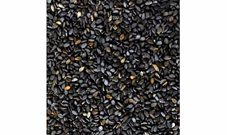 Black Sesame Seed