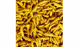 Turmeric