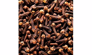 Clove
