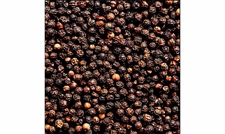 Black Pepper