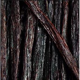 cr8v vanilla beans