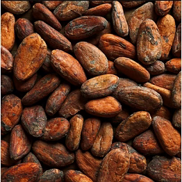 cr8v cocoa bean