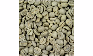 Green Coffee Beans Robusta