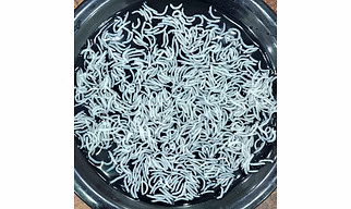 1121 - STEAM BASMATI RICE
