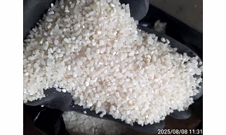 Broken Rice