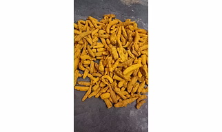 Turmeric