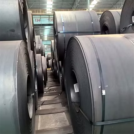MS Coil-1
