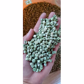 Green dry peas