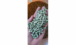 Green dry peas