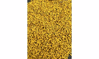 Turmeric Finger
