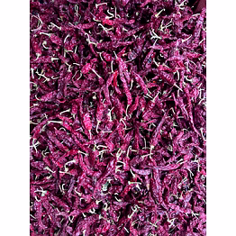 dry red chili