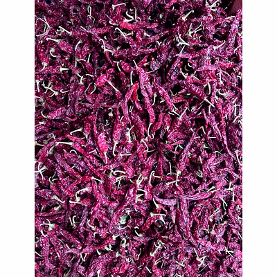 dry red chili