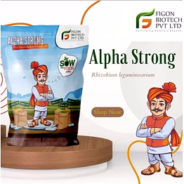 figon biotech alpha strong (rhizobium leguminosparium)