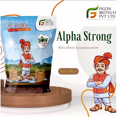 figon biotech alpha strong (rhizobium leguminosparium)
