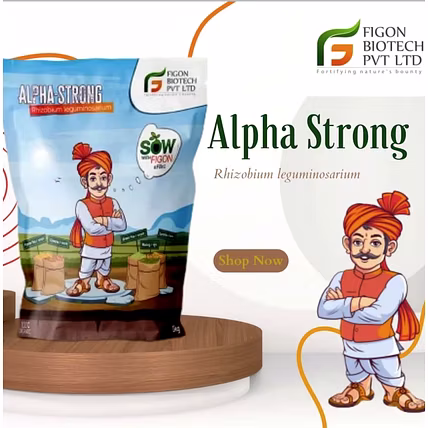 Alpha Strong (Rhizobium Leguminosparium)-12747607