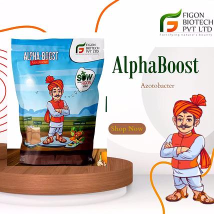 Alpha Boost (Azotobacter)-12742793