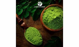 Moringa Leaves Powder
