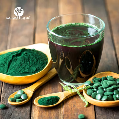 Spirulina Powder-2