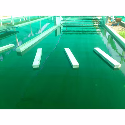 Spirulina Powder-3