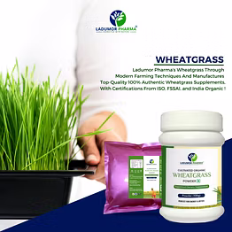 Wheatgrass Powder
