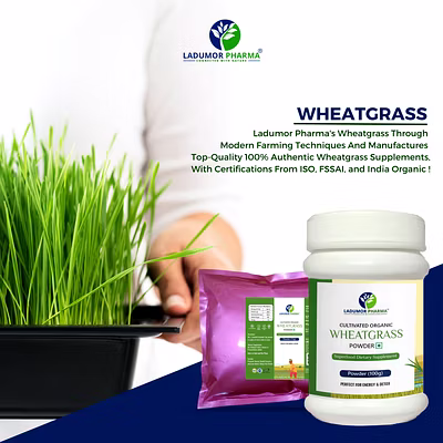 Wheatgrass Powder-12740021