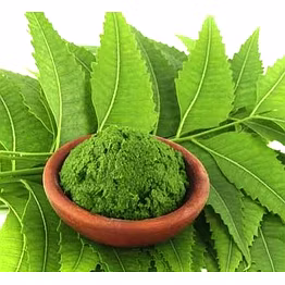 Neem Powder