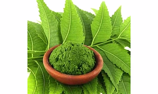 Neem Powder