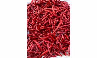 S17 teja dry red chili