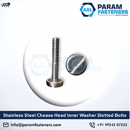 stainless steel chease head innner washer slotted bolts